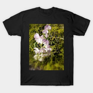 sweet peas 3 T-Shirt